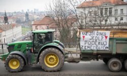 Agriculture in Europe is getting old, young people are not flocking to it