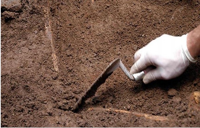 Bones are found in Rahovec, they are suspected to be related to the war in Kosovo