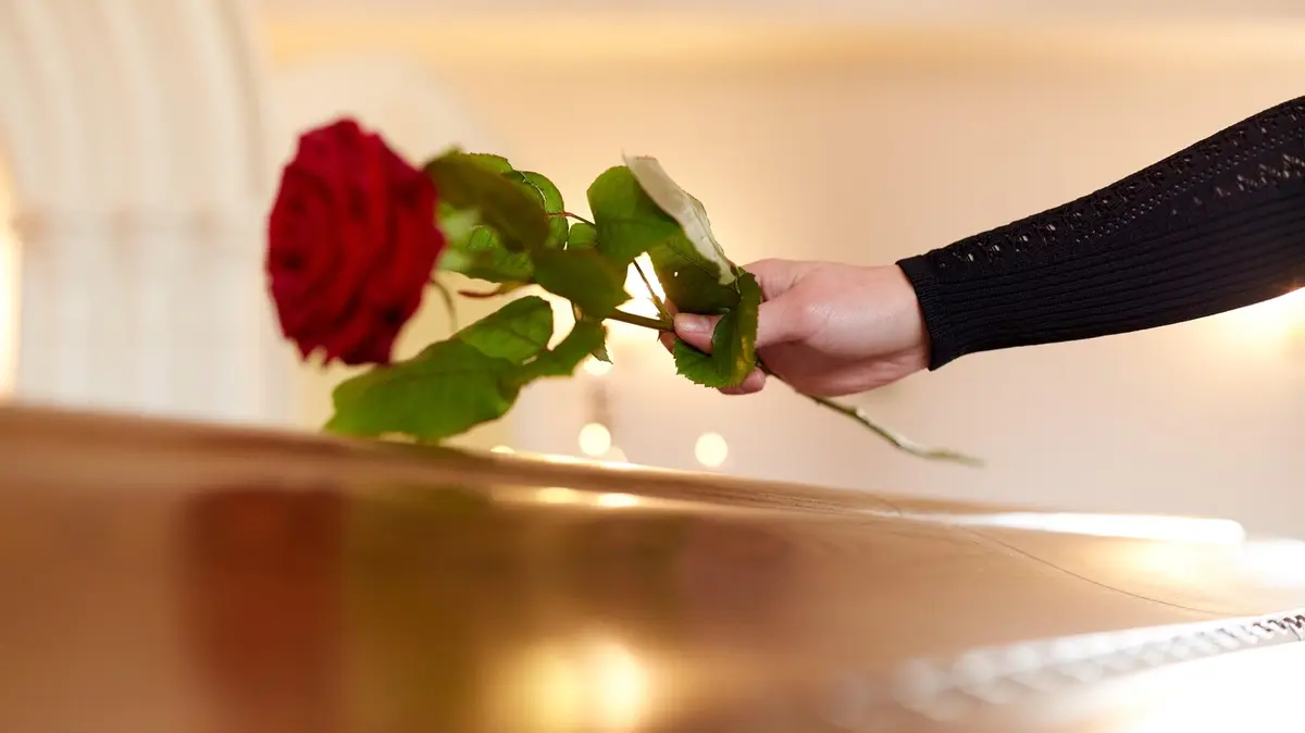 Novinky.cz