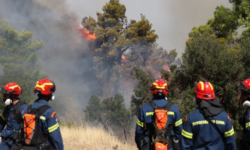 Greece in code red for August 15, winds over 100 km/h are expected. The country is on alert for fires