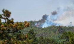 Serbia did not activate the EU Civil Protection Mechanism, but turned to Russia for an “Ilyushin” firefighting plane