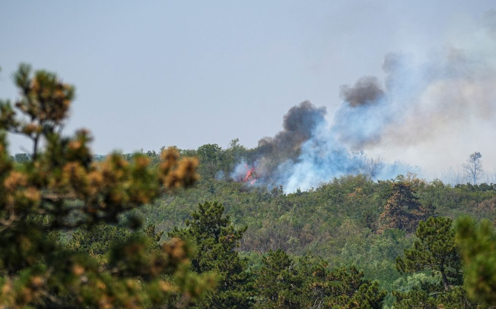 Serbia did not activate the EU Civil Protection Mechanism, but turned to Russia for an "Ilyushin" firefighting plane